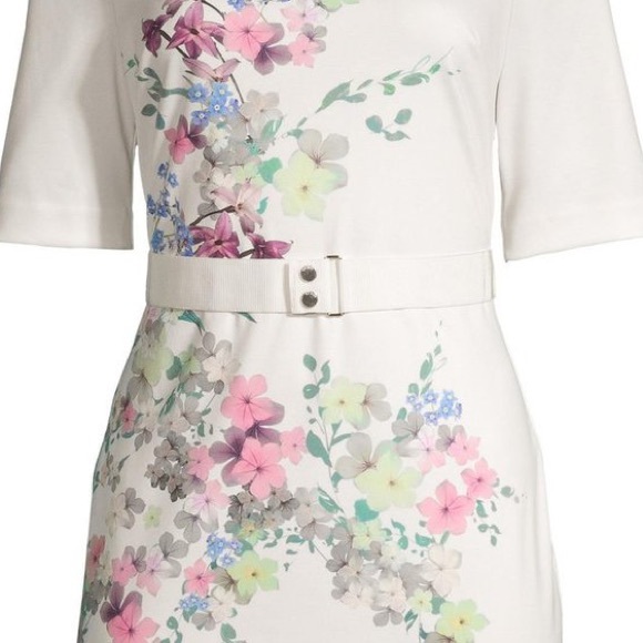 Ted Baker Camliaa Dress - Picture 3 of 3